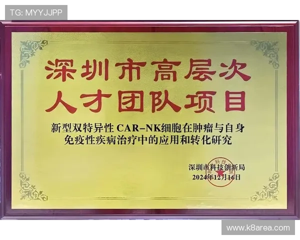 如何快速找到凯发k8国际首页登录入口确保账号安全与顺畅体验