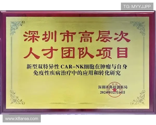 k8凯发天生赢家一触即发人：揭秘游戏中的制胜法宝与实战技巧提升胜率